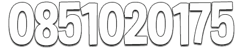 0851020175